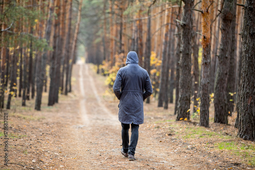 man walks away on a pine forest road. back view © drotik