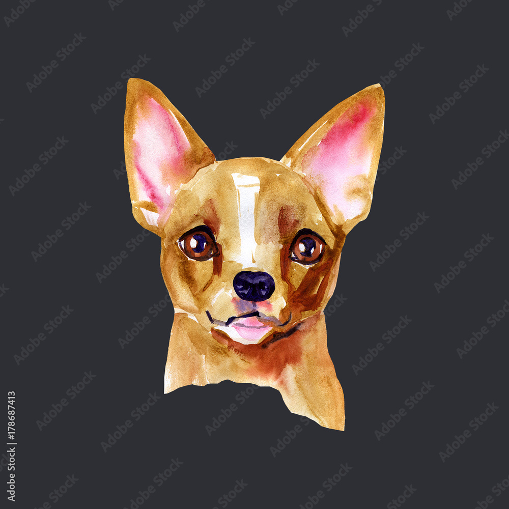 Portrait cute dog isolated on black background. Watercolor hand drawn illustration. Popular breed dog. Greeting card design. Chihuahua.
