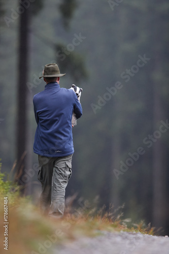 Animal care specialist carrying orphaned european badger, Meles meles in his arms, rear view. Powerful animal in sanctuary. Man carries forest animal. Animal Rescue Service shelter assistance.