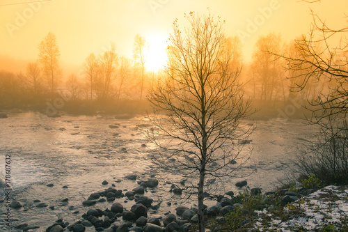 A beautiful, colorful misty morning scenery at the river. Norwegian weather in autumn. Tranquil morning landscape. © dachux21