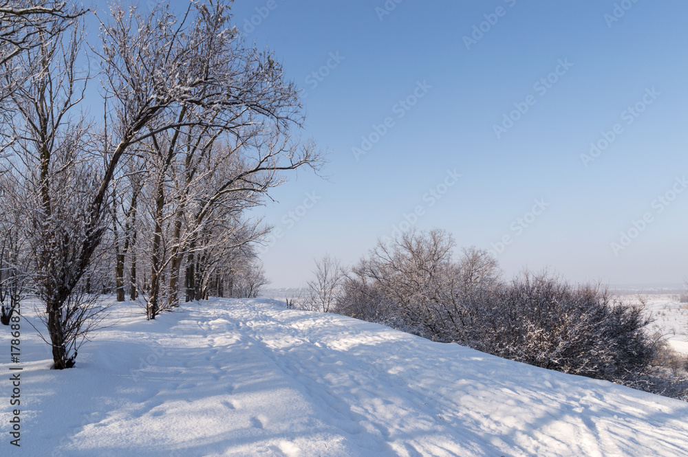 Winter landscape, snow-covered road and trees covered with white snow, a clear day Winter landscape, snow-covered road and trees covered with white snow, a clear day