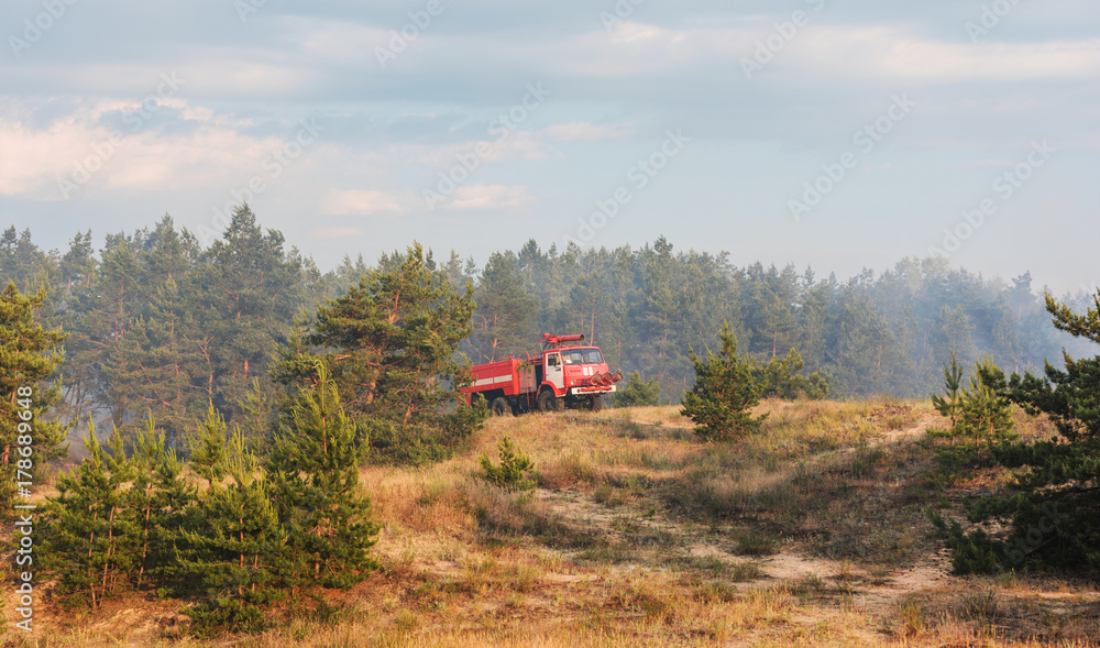 Naklejka premium Forest fire. Burned trees after wildfire, pollution and a lot of smoke