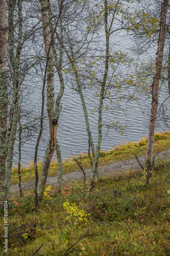 A beautiful hiking path through an autumn forest in Norway. Fall scenery in forest. Beautiful autumn landscape.
