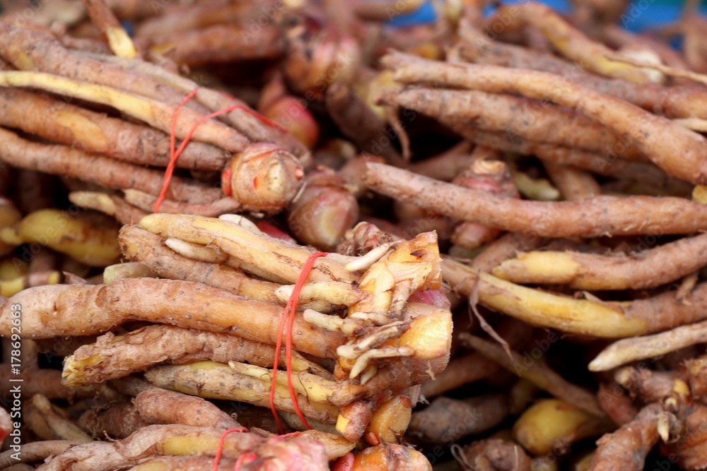 ginger root at market ginger root at market