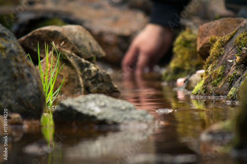 Bilde på lerret healing spring