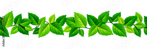 Vector horizontal seamless garland with green leaves.