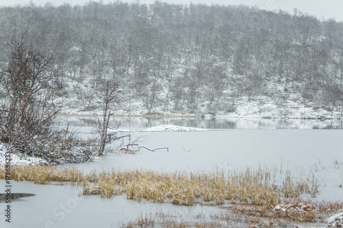 Wallpaper Mural A beautiful Norwegian landscape in first snow in autumn. White, snowy scenery. Torontodigital.ca