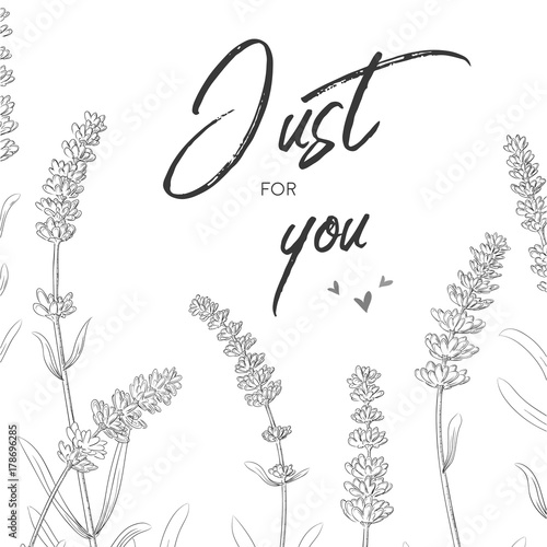 Floral card vector Design with Lavender garden, provence french flowers with leaves elegant vintage hand drawn linear ink natural print. Just for you quote. Copy space rustic, wedding invite, template