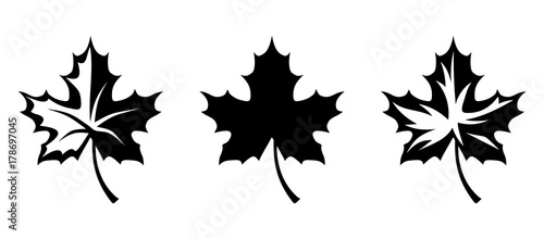 Vector black silhouettes of maple leaves isolated on a white background.