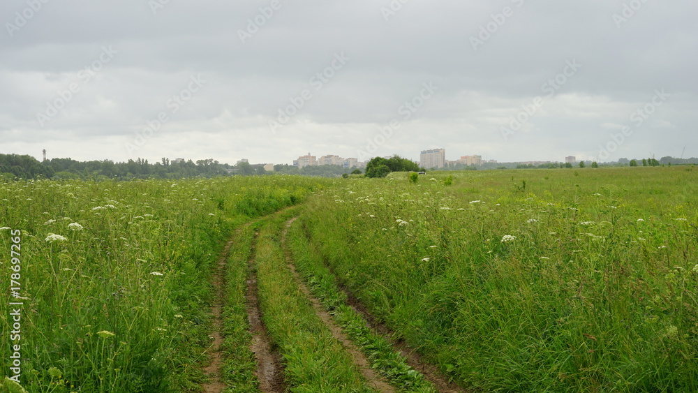Fototapeta premium Field road