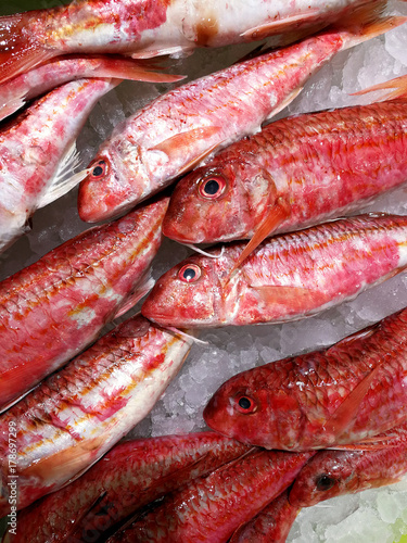 red mullet on ice at market