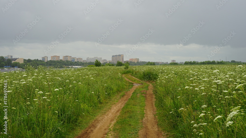 Fototapeta premium Field road