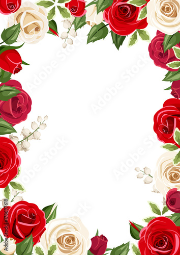 Vector frame background with red and white roses.