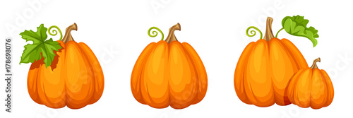 Vector set of orange pumpkins isolated on a white background.