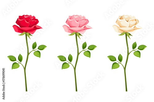 Vector set of red  pink and white roses with stems isolated on a white background.