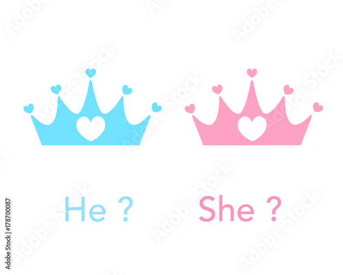 Crown. Baby gender reveal party. Pink and blue crown background