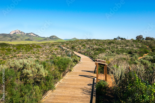 Elfin Forest in Los Osos, Morro Bay State Marine Reserve, Morro Bay, San Luis Obispo County Parks, California, USA