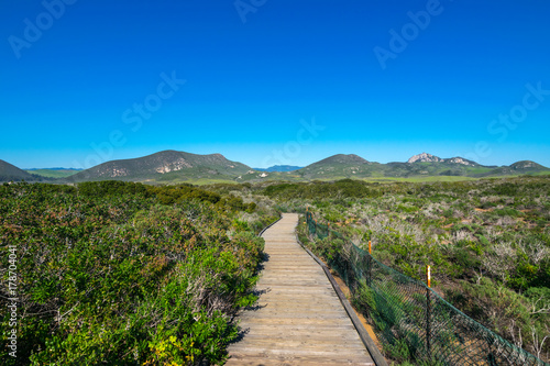 Elfin Forest in Los Osos, Morro Bay State Marine Reserve, Morro Bay, San Luis Obispo County Parks, California, USA