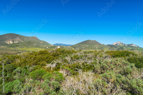 Elfin Forest in Los Osos, Morro Bay State Marine Reserve, Morro Bay, San Luis Obispo County Parks, California, USA