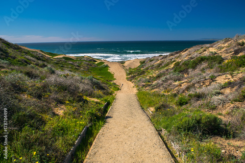 Exploring the Pacific shoreline at Spooner's Cove, Bluff Trail, Montana de Oro State Park, Morro Bay, San Luis Obispo County, California, USA