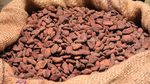 Fèves de cacao & sac de jute