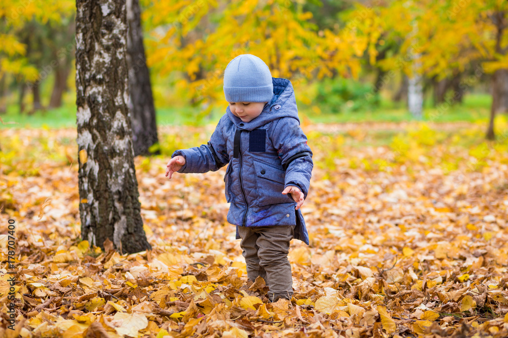 1 years old baby walks in the park on fallen colorful leaves in autumn day