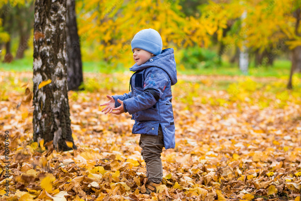 1 years old baby walks in the park on fallen colorful leaves in autumn day 1 years old baby walks in the park on fallen colorful leaves in autumn day