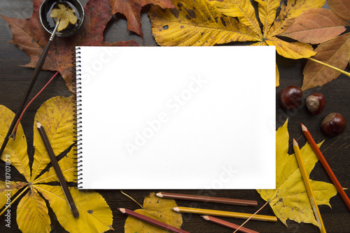 Autumn composition with empty album and fallen leaves