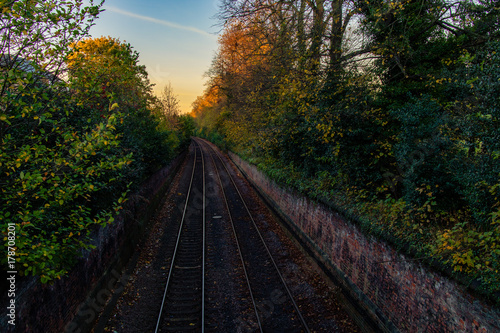An empty railway lined with trees.