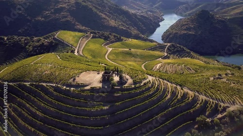 Aerial shot Alto Douro Wine Region, Douro, Portugal photo