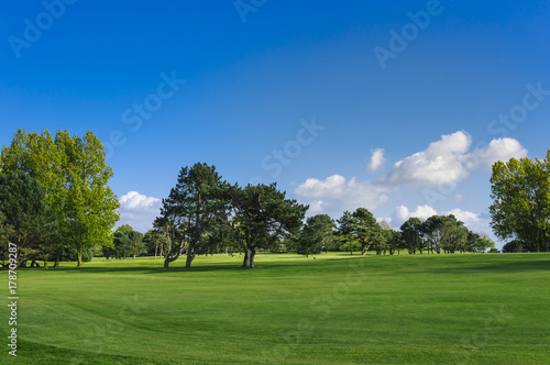 Fototapeta Naklejka Na Ścianę i Meble -  General view of a green golf course on a bright sunny day. Idyllic summer landscape. Sport, relax, recreation and leisure concept