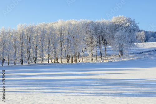 Fields and trees in winter landscapes