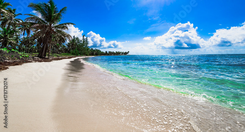 paradise tropical beach palm the Caribbean Sea © dbrus