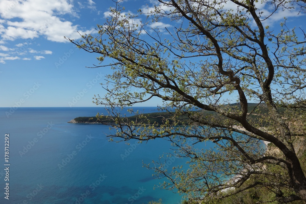 Obraz premium Montenegro