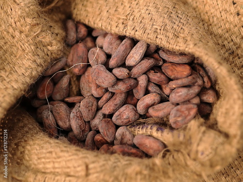 Photos Fèves de cacao & sac de jute