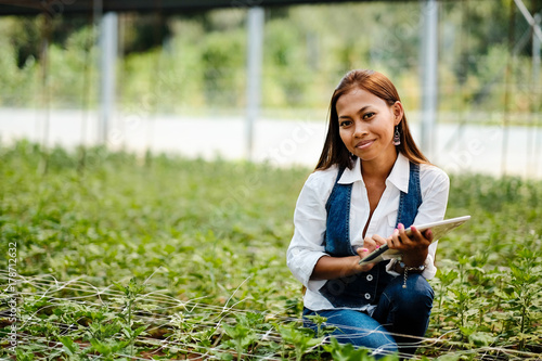 Young pretty Asian woman agronomist with tablet working in greenhouse inspecting the plants.