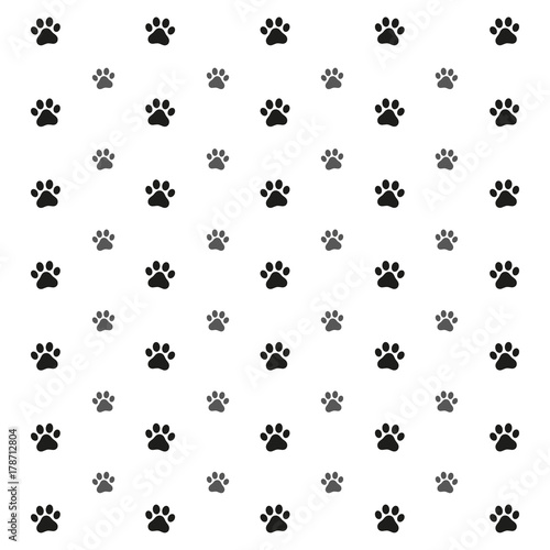 traces of dog on white background