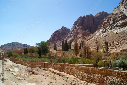 Garden of Saint Catherine's Monastery in the desert on the Sinai Peninsula, Egypt - one of the oldest working Christian monasteries in the world - against the background of sun-burned lifeless rocks photo