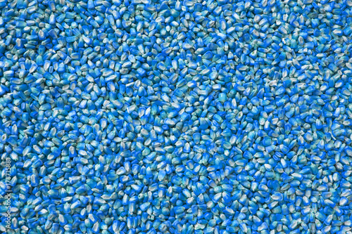 abstract background of blue corn