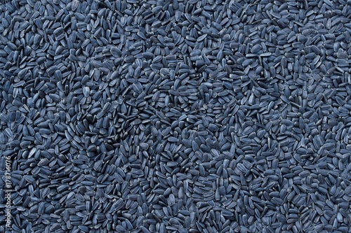abstract background of sunflower seeds.beautiful texture
