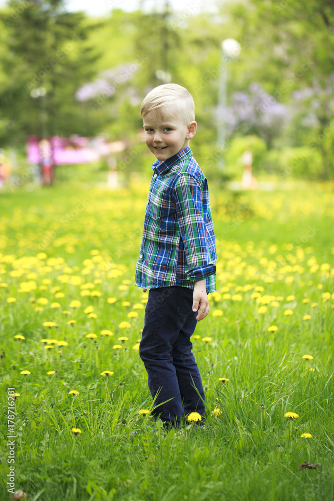 Portrait of a young blonde boy Portrait of a young blonde boy