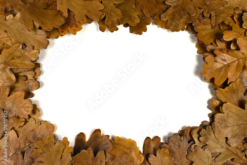 oak leaf frame