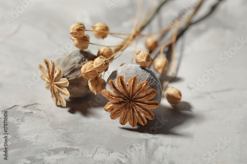 Dried poppy heads on table, closeup