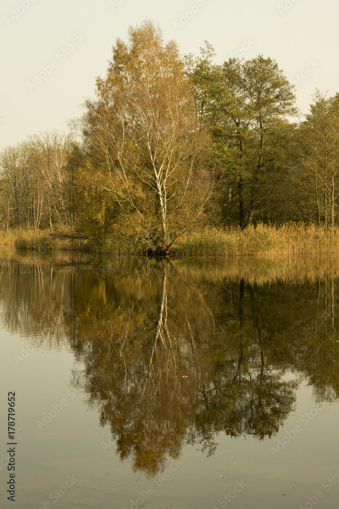 Fototapeta premium Herbstspiegelungen