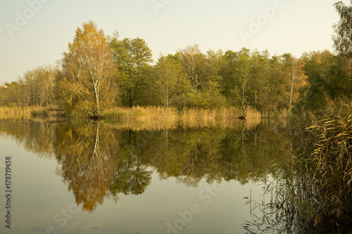 Fototapeta Naklejka Na Ścianę i Meble -  Herbstspiegelungen