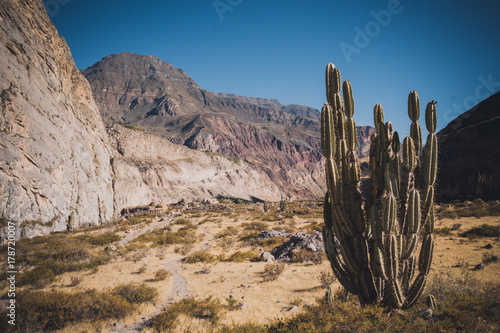 Peru, Cotahuasi canyon. The wolds deepest canyon.