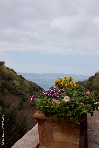 Floral View