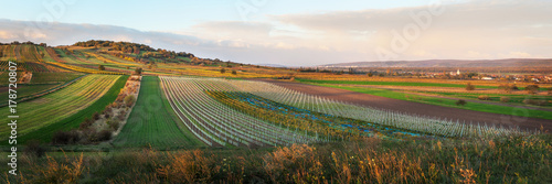 Burgenländische Landschaft bei Oggau und Schützen am Gebirge