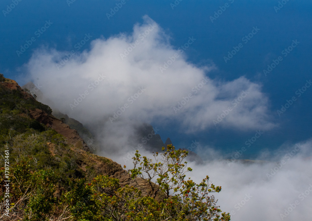 Hawaiian Landscape Hawaiian Landscape