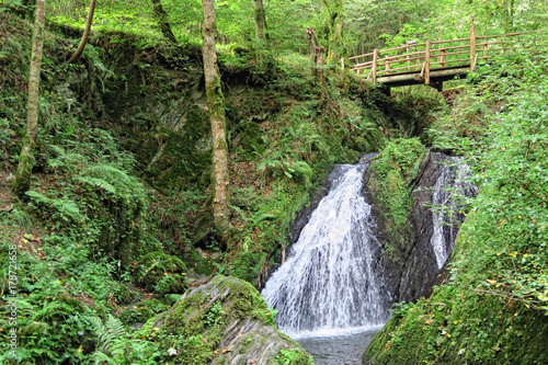 Waterfall the wild swoosh in wild Endertal valley in eifel region (Germany)